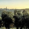 Paisaje de Bujalance (2)